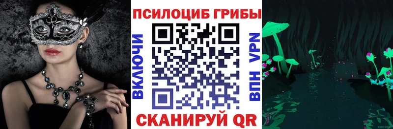 Псилоцибиновые грибы Cubensis  где купить   Зеленокумск 