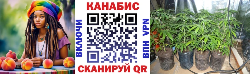 МАРИХУАНА семена Зеленокумск